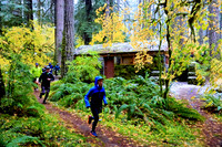 2022 Silver Falls Trail Runs:  Half Marathon - Pioneer Orchard:  9:50am-9:54am