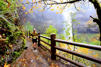 2022 Silver Falls Trail Runs:  Half Marathon - South Falls:  10:36am-10:49am