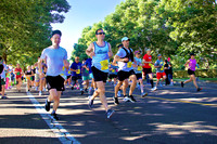Half/10k/5k