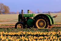2021 Wooden Shoe Tulip Festival