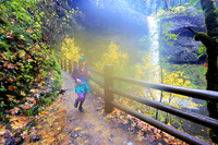 2023 Silver Falls Trail Runs:  7 Miler - South Falls:  10:21am-10:30am
