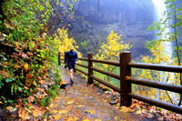 2023 Silver Falls Trail Runs:  Marathon - South Falls:  12:56pm+