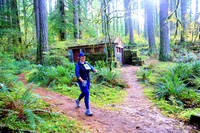 2023 Silver Falls Trail Runs:  Half Marathon - Pioneer Orchard:  10:00am+