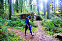 2023 Silver Falls Trail Runs:  Half Marathon - Pioneer Orchard:  10:00am+