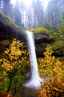 2023 Silver Falls Trail Runs:  Miscellaneous